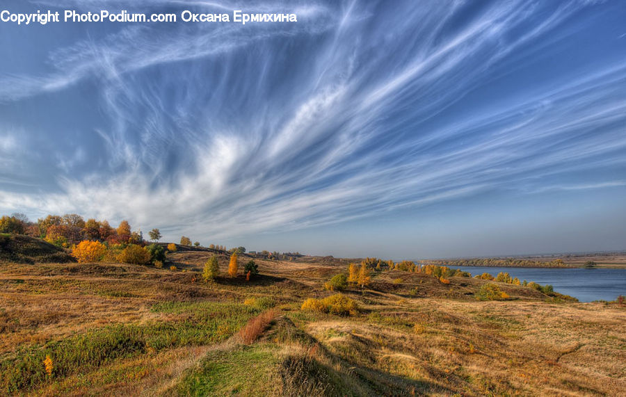 Field, Grass, Grassland, Land, Outdoors, Landscape, Nature