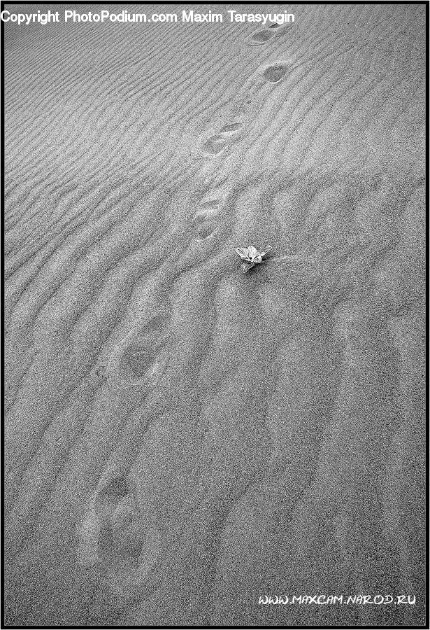 Outdoors, Sand, Soil