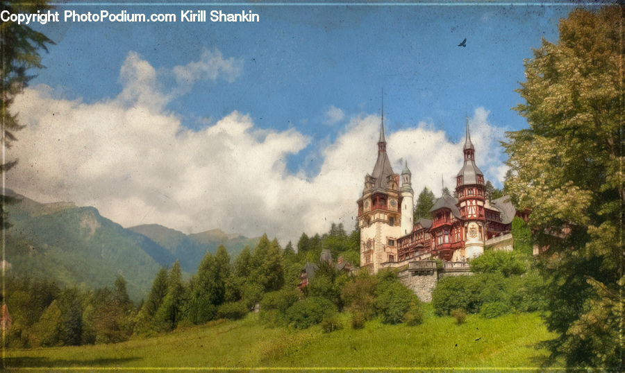 Architecture, Castle, Fort, Housing, Monastery, Tower, Mansion
