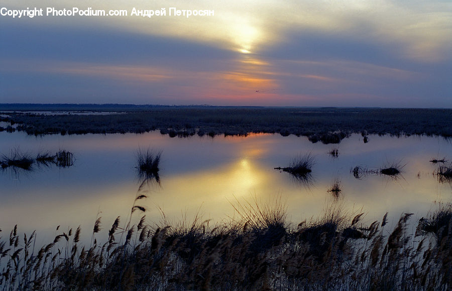 Dawn, Dusk, Sky, Sunrise, Sunset, Land, Marsh