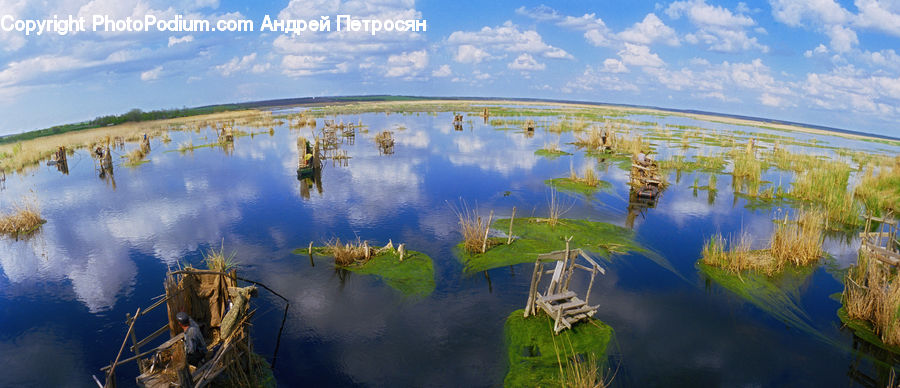 Land, Marsh, Pond, Swamp, Water, Dock, Landing