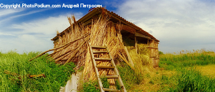 Building, Hut, Shelter, Cabin, Rural, Shack, Cottage
