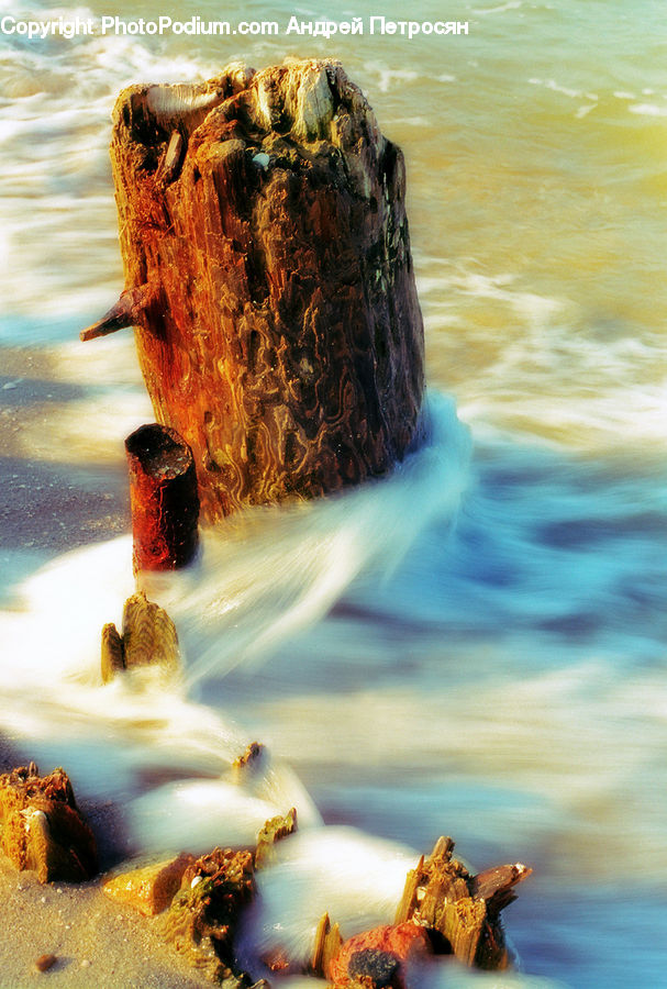 Coast, Outdoors, Sea, Water, Beach, Anther, Flower