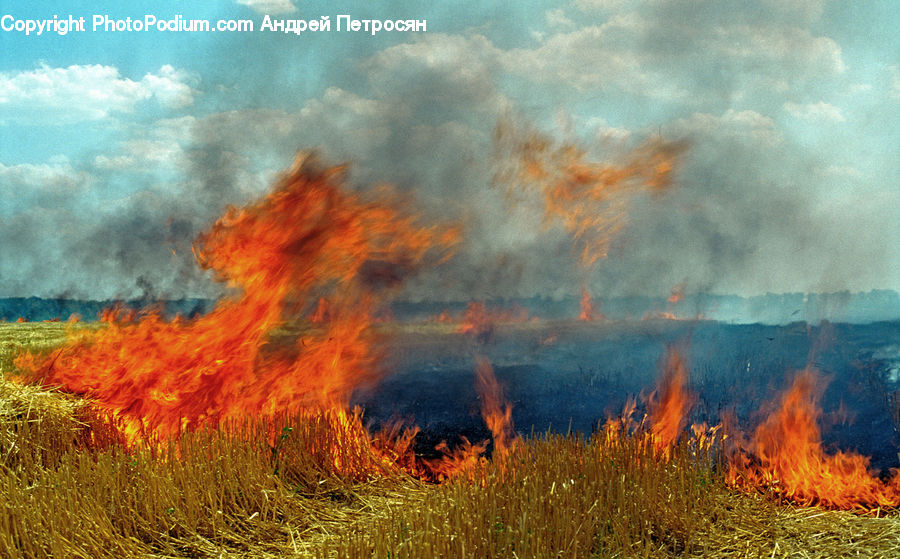 Forest Fire, Field, Grass, Grassland, Plant, Vegetation