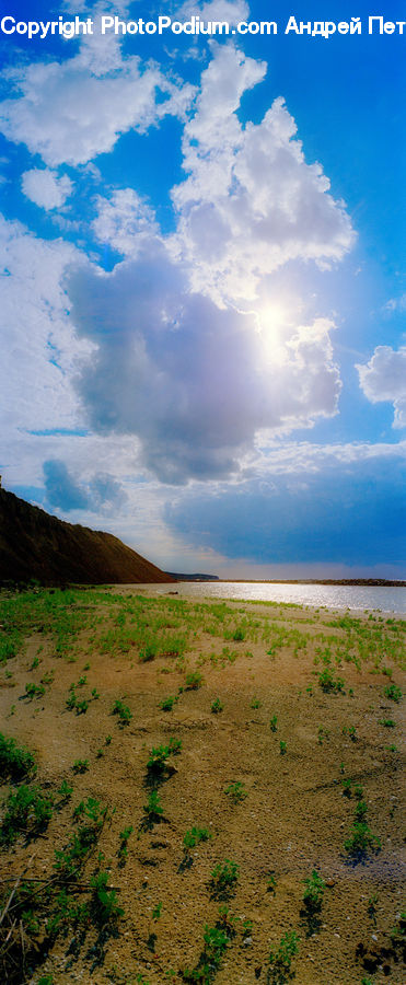 Field, Grass, Grassland, Land, Outdoors, Landscape, Nature
