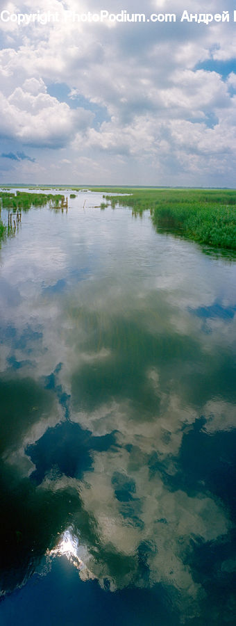 Cloud, Cumulus, Sky, Land, Marsh, Pond, Swamp