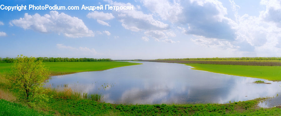 Countryside, Field, Grass, Grassland, Paddy Field, Land, Outdoors