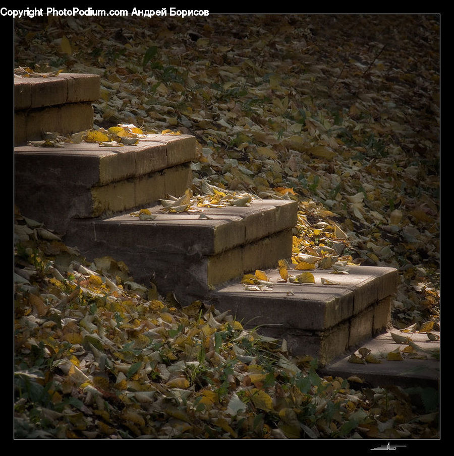 Apiary, Tomb, Rubble, Crypt
