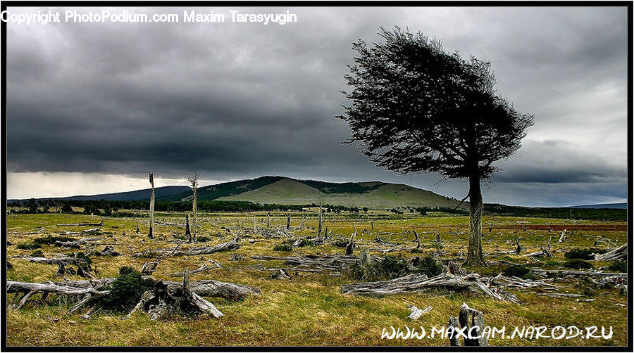 Field, Grass, Grassland, Land, Outdoors, Plateau, Dirt Road