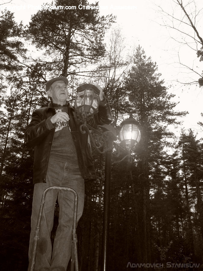 Human, People, Person, Forest, Vegetation, Clothing, Overcoat