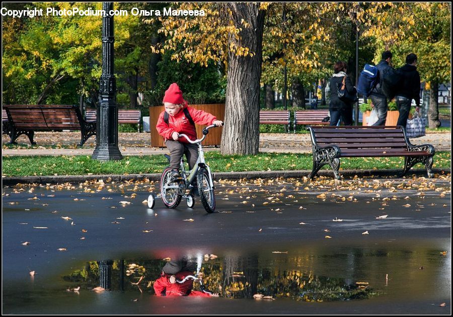 Human, People, Person, Bench, Park Bench, Bicycle, Bike