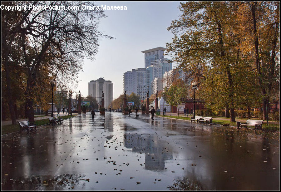 Canal, Outdoors, River, Water, Flood, City, Downtown