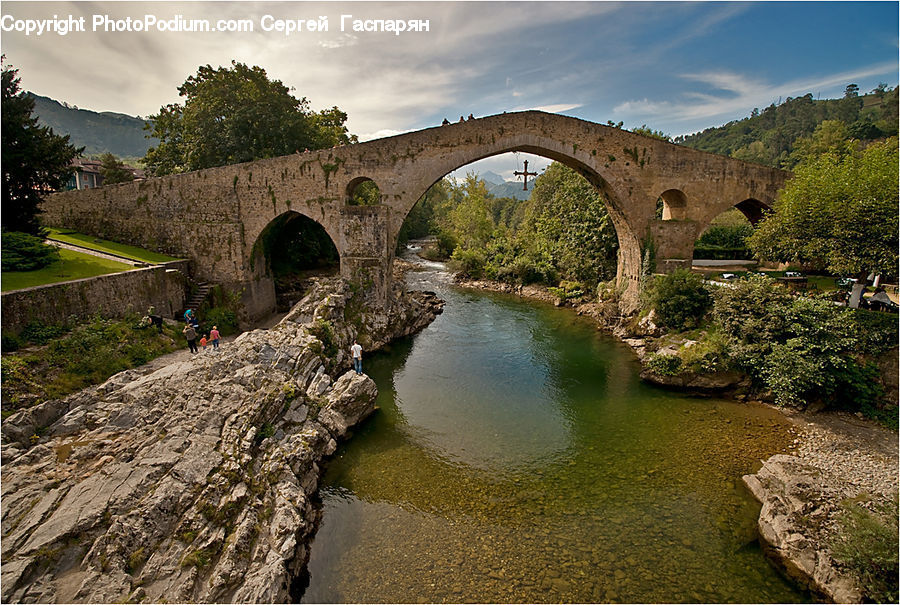 Bridge, Outdoors, Pond, Water, Forest, Grove, Land
