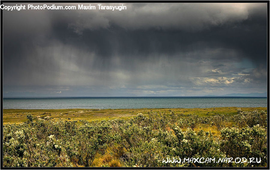 Field, Grass, Grassland, Land, Outdoors, Cloud, Cumulus