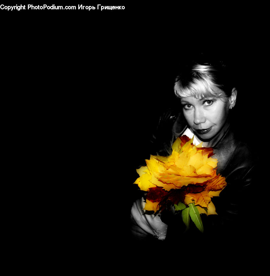 People, Person, Human, Ivy, Plant, Vine, Portrait