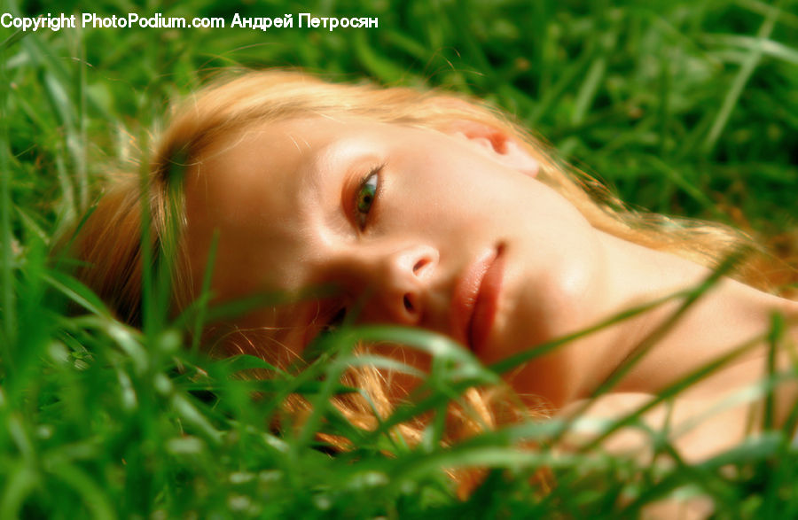 Female, Girl, Person, Woman, Field, Grass, Grassland