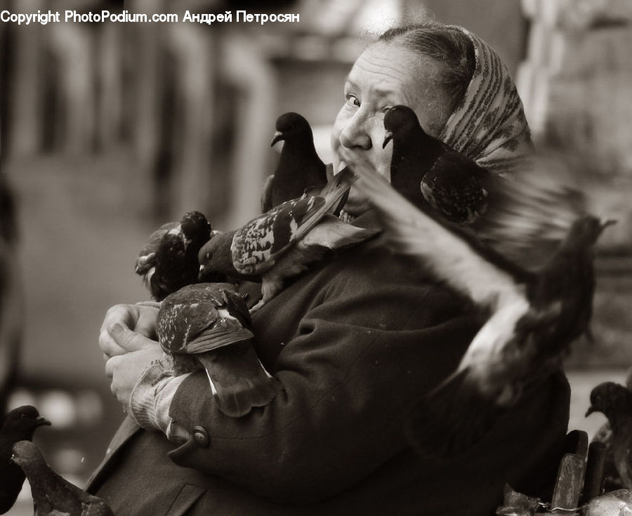 People, Person, Human, Bird, Pigeon, Dove, Face