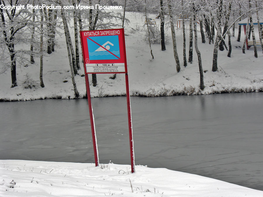 Birch, Tree, Wood, Ice, Outdoors, Snow, Sign