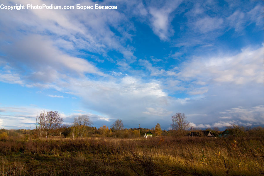 Field, Grass, Grassland, Land, Outdoors, Plant, Dirt Road