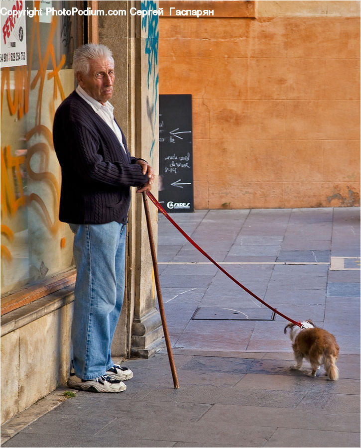 Human, People, Person, Leash, Strap