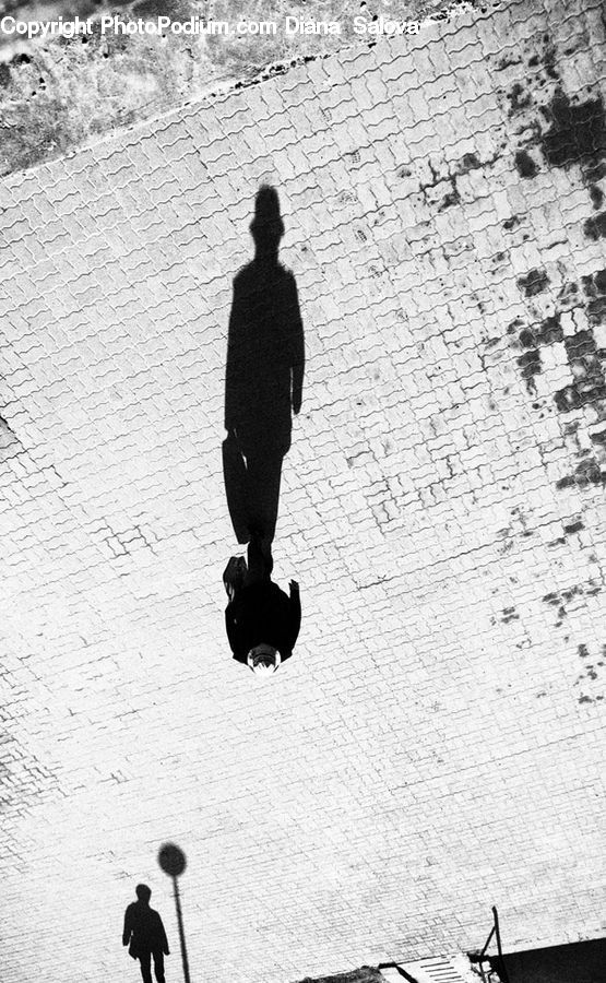 People, Person, Human, Silhouette