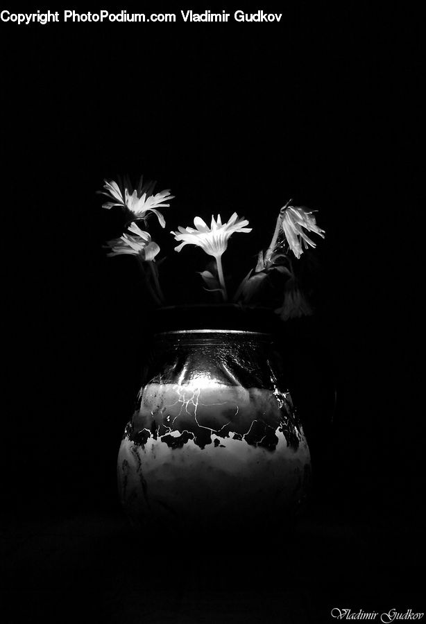 Dance, Dance Pose, Flamenco, Music, Performer, Jar, Blossom