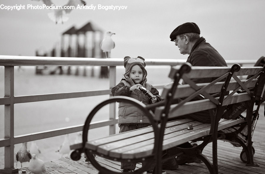 People, Person, Human, Bird, Chair, Furniture, Bench