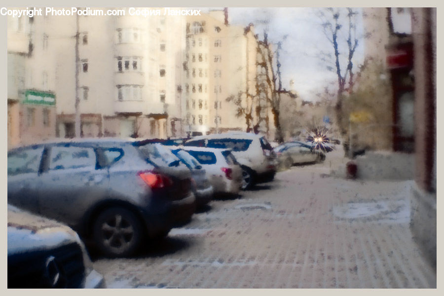 Automobile, Car, Vehicle, Plant, Potted Plant, Art, Parking