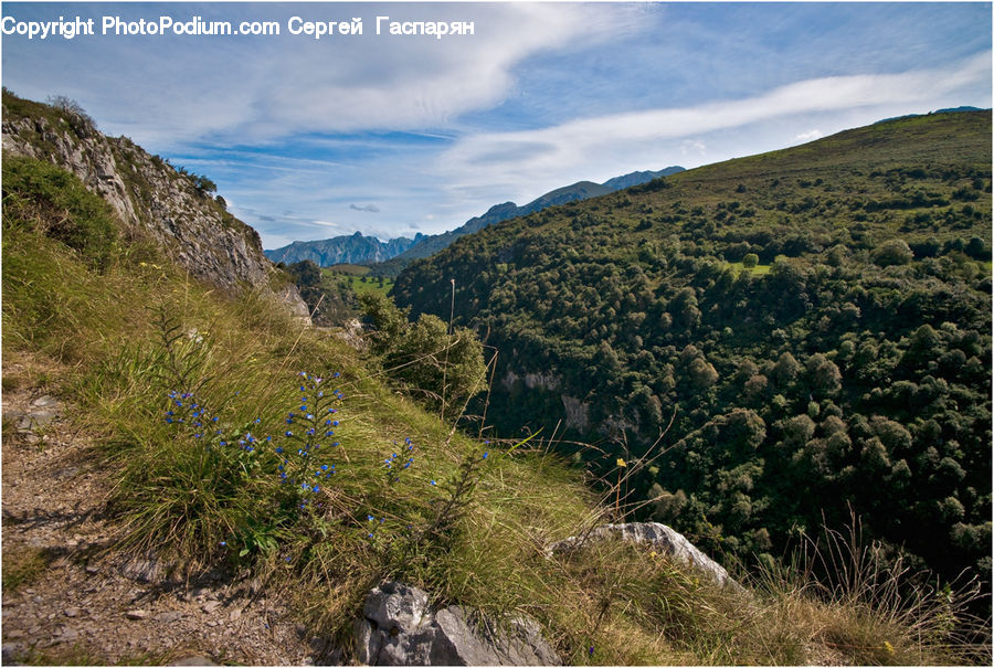Crest, Mountain, Outdoors, Peak, Wilderness, Grassland, Mound