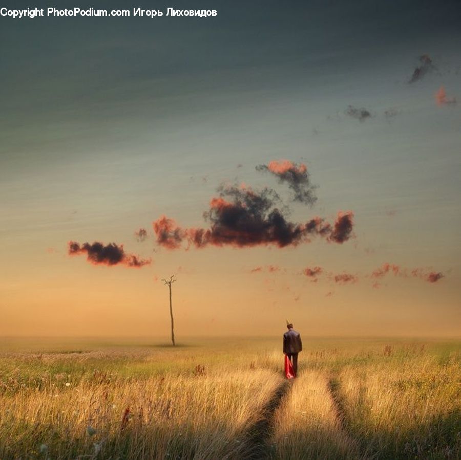 Forest Fire, Field, Grass, Grassland, Land, Outdoors, Dirt Road