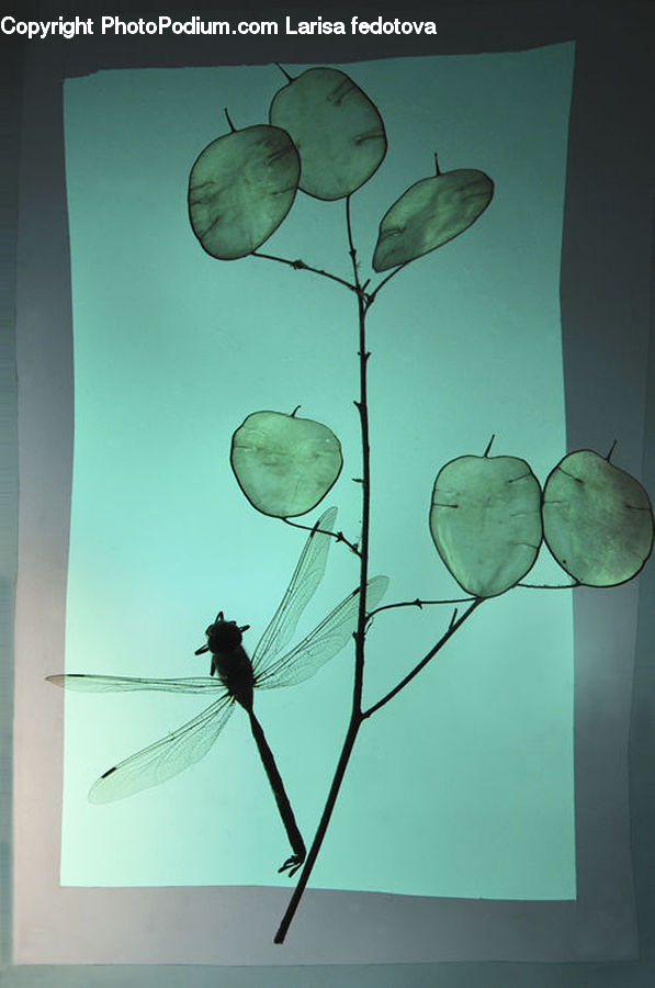 Art, Modern Art, Leaf, Plant, Flower Arrangement, Ikebana, Potted Plant
