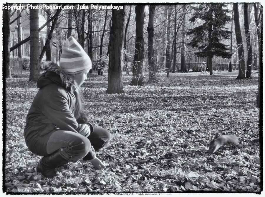 Human, People, Person, Playground, Swing, Outdoors, Park