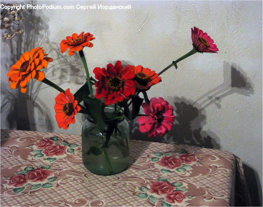 Flower Arrangement, Ikebana, Plant, Potted Plant, Vase, Flower, Flower Bouquet
