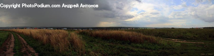 Outdoors, Storm, Weather, Cloud, Cumulus, Sky, Field