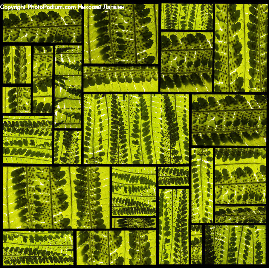 Collage, Poster