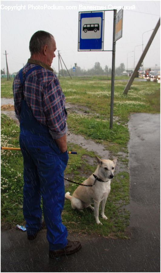 Human, People, Person, Animal, Canine, Dog, Eskimo Dog