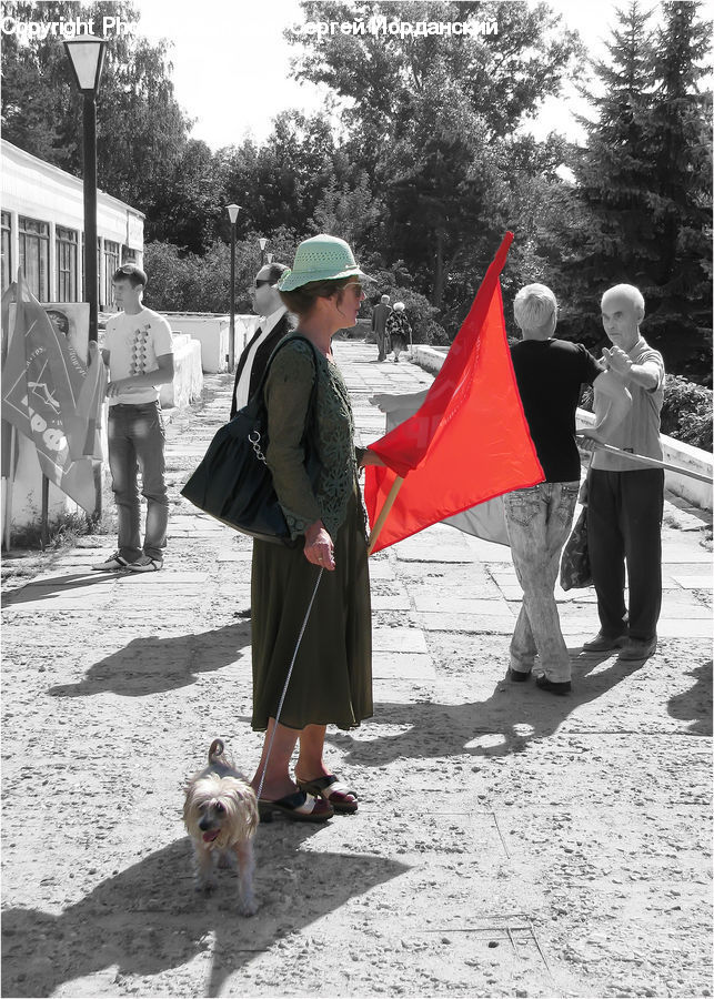 Human, People, Person, Playground, Animal, Canine, Dog