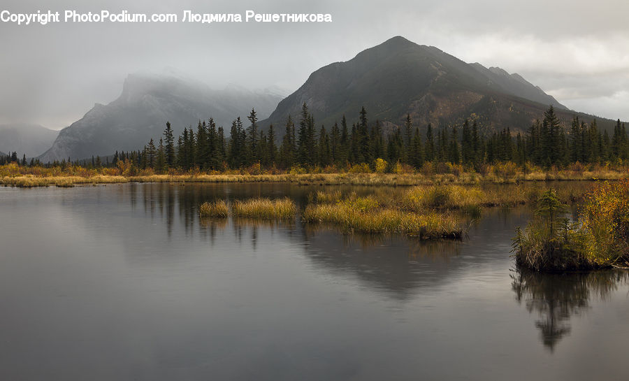 Lake, Outdoors, Water, Land, Marsh, Swamp, Pond