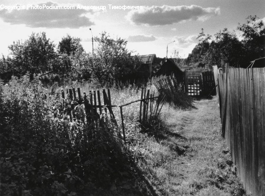 Countryside, Outdoors, Fence, Farm, Field, Coast, Sea