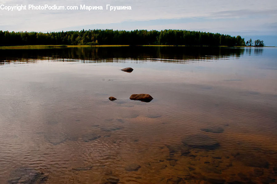 Land, Marsh, Pond, Swamp, Water, Beach, Coast
