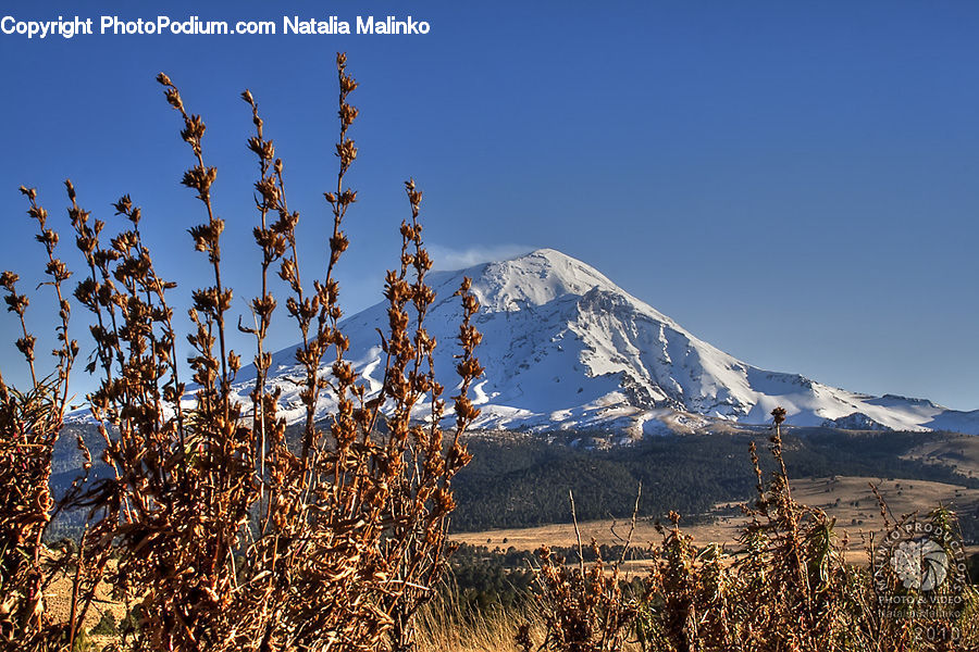 Field, Grass, Grassland, Plant, Crest, Mountain, Mountain Range