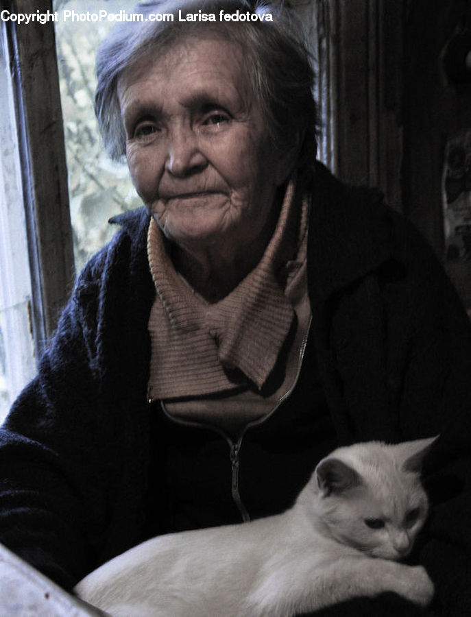 People, Person, Human, Animal, Cat, Pet, Siamese