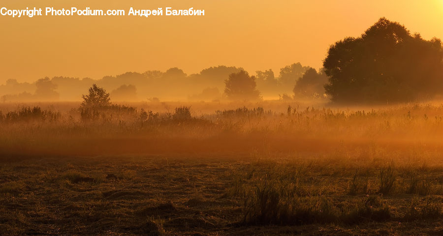 Dawn, Dusk, Sky, Sunrise, Sunset, Fog, Landscape