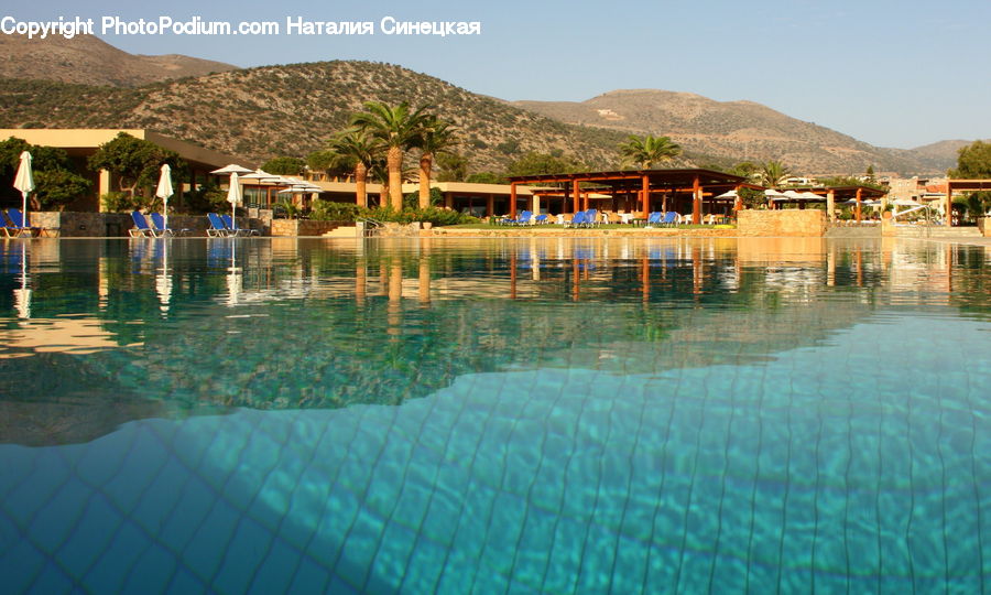 Hotel, Resort, Pool, Swimming Pool, Water, Building, Housing