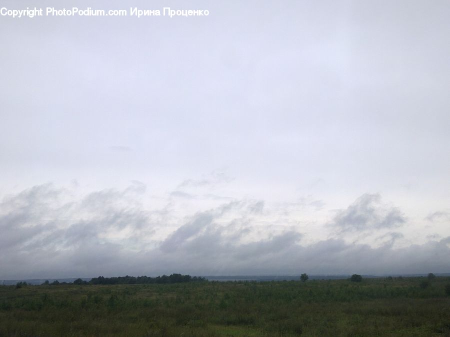 Field, Grass, Grassland, Land, Outdoors, Cloud, Cumulus