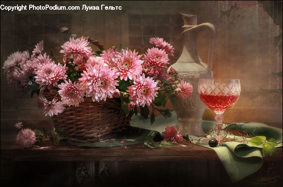 Plant, Potted Plant, Glass, Goblet, Blossom, Dahlia, Flora