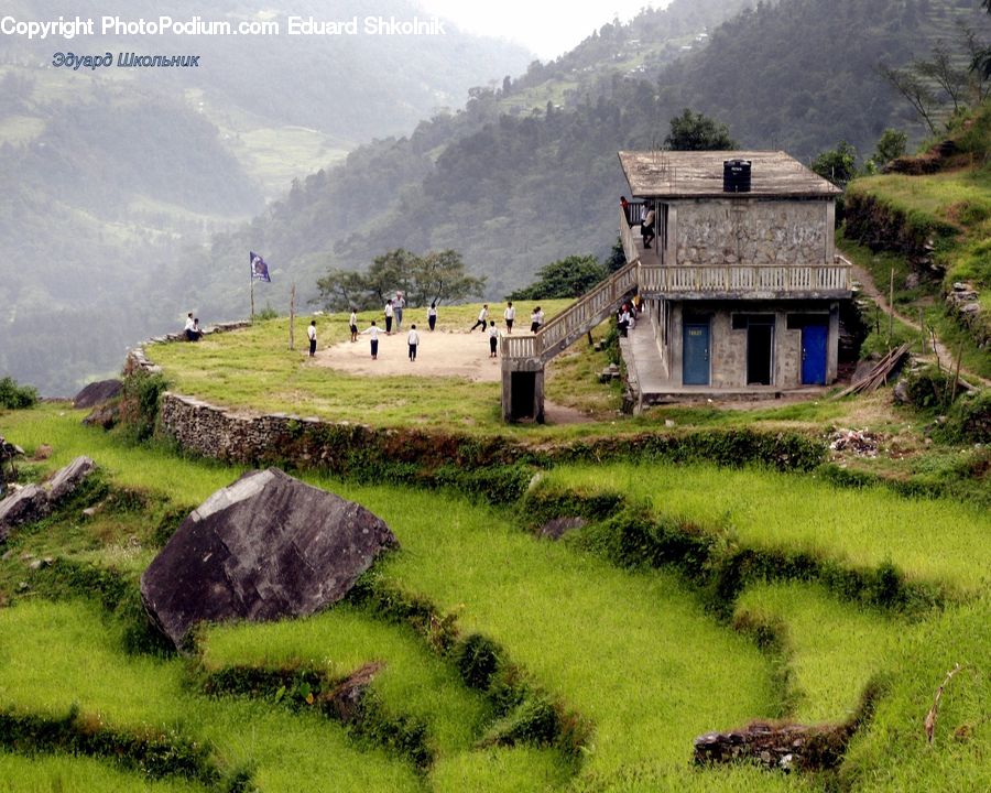 Building, Cottage, Housing, Cabin, Hut, Rural, Shack