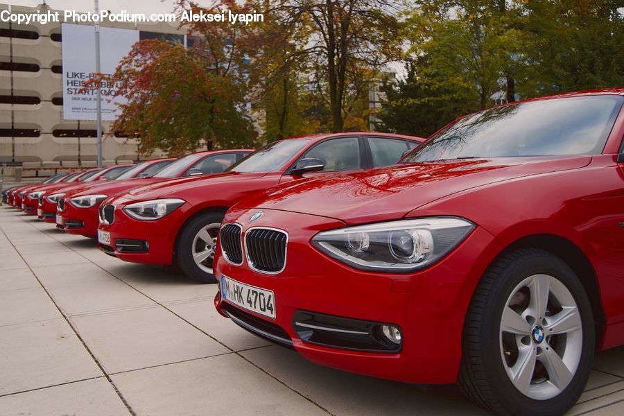 Automobile, Car, Coupe, Sports Car, Vehicle, Parking, Parking Lot