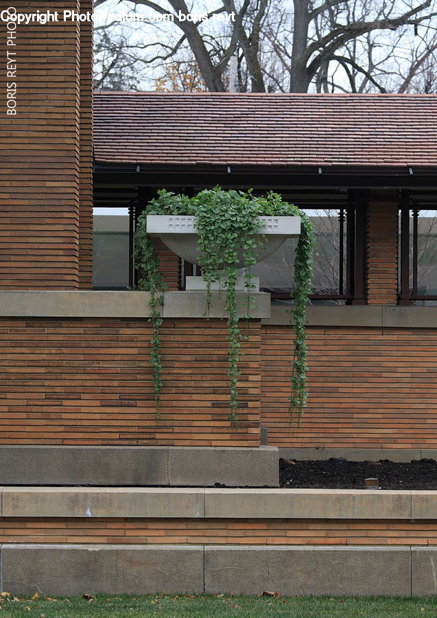 Plant, Potted Plant, Herbal, Herbs, Planter, Brick, Deck