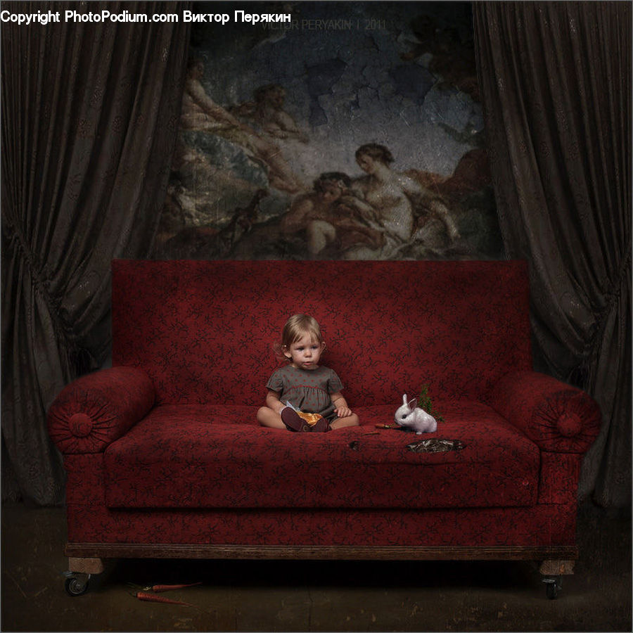 People, Person, Human, Couch, Furniture, Animal, Cat